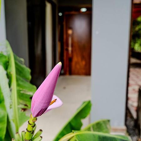 Cloud Forest House Monteverdes エクステリア 写真