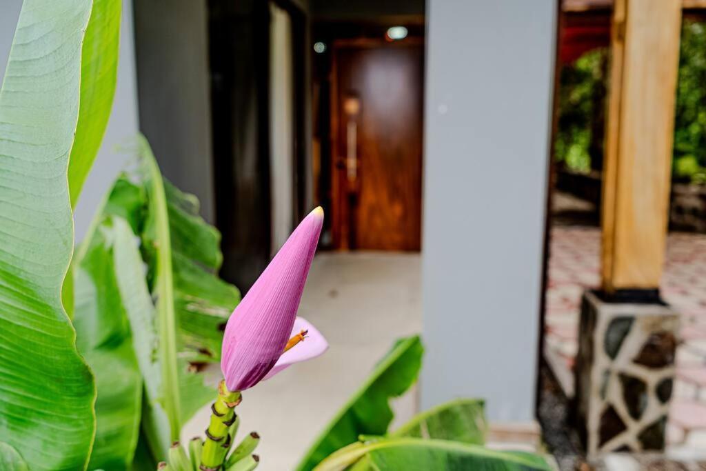 Cloud Forest House Monteverdes エクステリア 写真